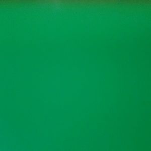 Meet your Posher, Abbi